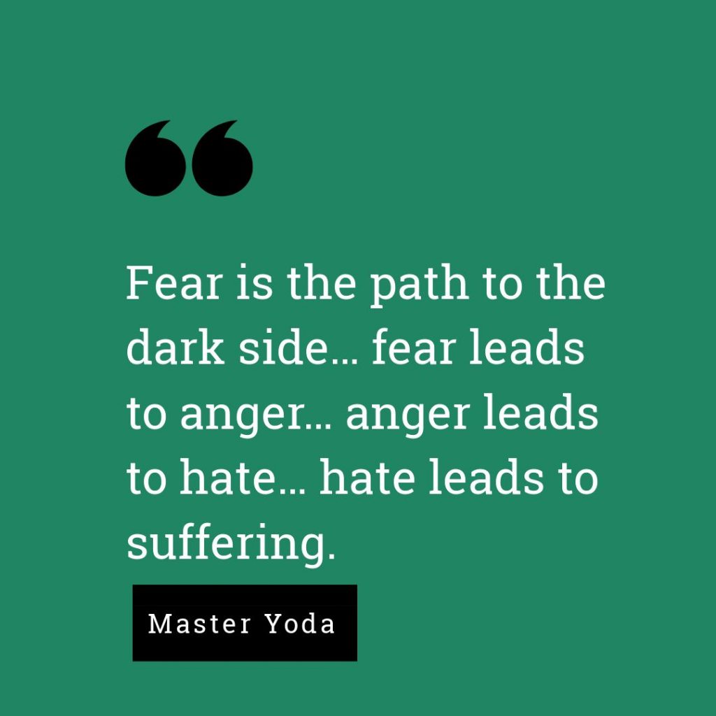 Fear is the path to the dark side… fear leads to anger… anger leads to hate… hate leads to suffering. -Master Yoda